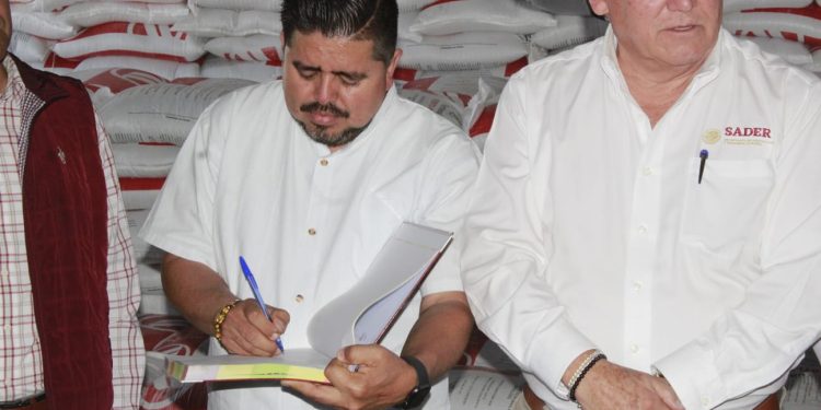 Gobierno de México apoyará con fertilizantes, Internet y vivienda a Michoacán: Pantoja