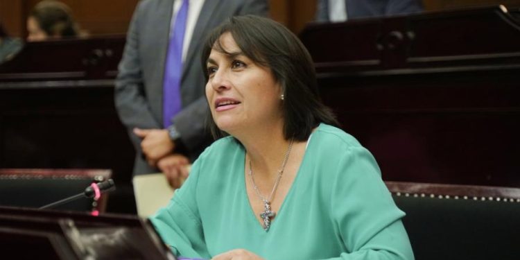 Michoacán dio un paso importante en la protección de los derechos de la infancia y adolescencia, ante el acoso y violencia: Dip. Lariza Pérez