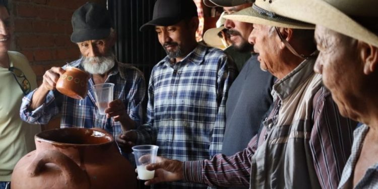 Gobierno de Morelia impulsa la producción del pulque en Santiago Undameo