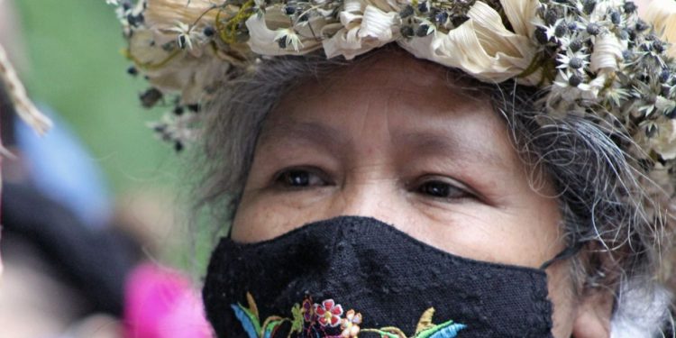 Capacitó Bienestar más de 200 mujeres en medicina tradicional