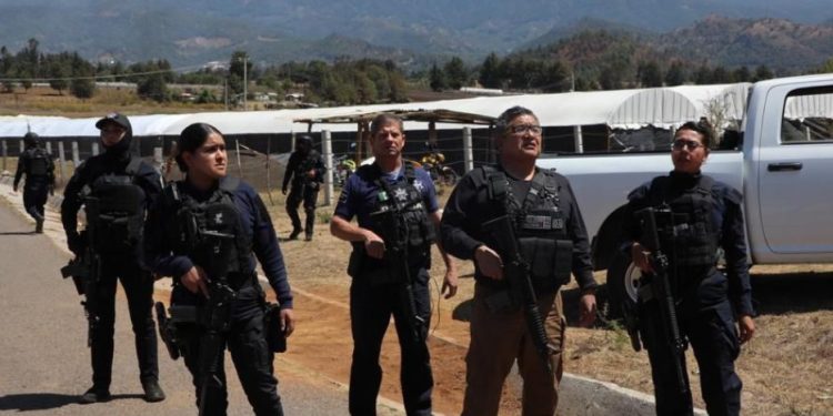 Guardia Civil, Guardia Nacional y Ejército Mexicano repelen agresión en Zitácuaro
