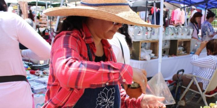 Créditos de Sí Financia han generado más de 2 mil empleos en Michoacán