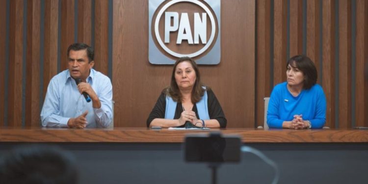 Acción Nacional tiene fortaleza en el Congreso del Estado: Dip. Lariza Pérez