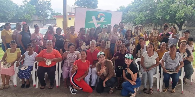 Gestión social y capacitación para el auto empleo acciones del PVEM en Parácuaro