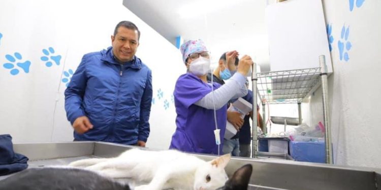 Juan Carlos Barragán promoverá que municipios cuenten con Centros de Atención Animal