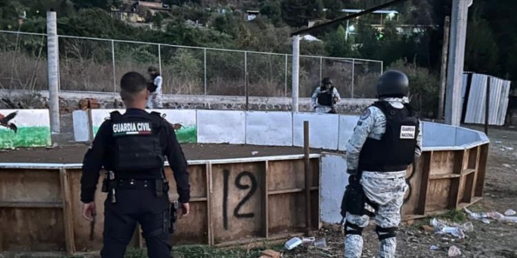 En Panindícuaro, Guardias Civil y Nacional desactivan pelea de gallos clandestina