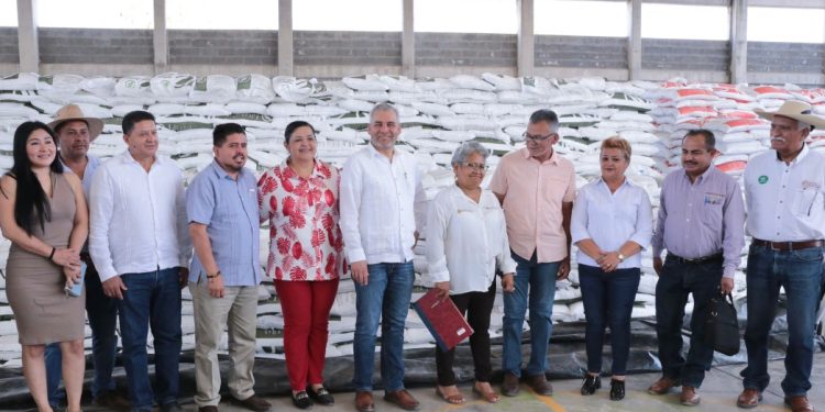 Disponible 70% del fertilizante gratuito para agricultores del estado: Bedolla