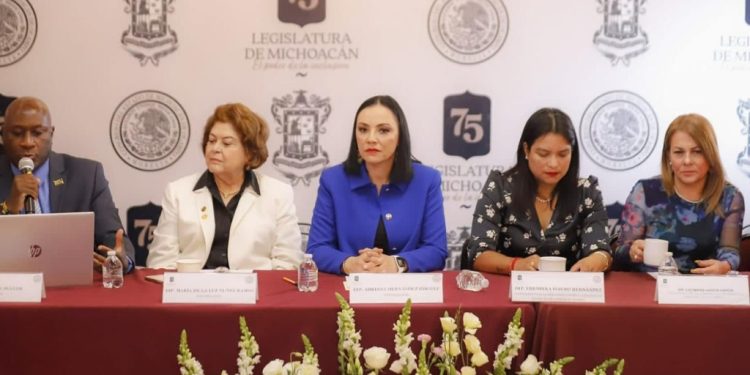 46% de adultos mayores tiene ingreso inferior a la línea de pobreza: diputada Adriana Hernández