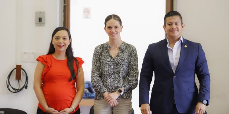 Se integró diputada Liz Alejandra Hernández al Comité de Comunicación Social