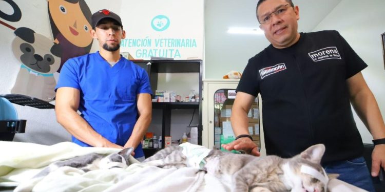 Casas de Atención de Juan Carlos Barragán ofrecen consultas veterinarias gratuitas y esterilizaciones a bajo costo