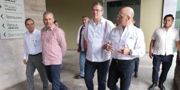 Bedolla y Ebrard acuerdan con APEAM plan para regular cultivos de aguacate y formalización laboral