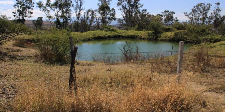 Invita Bladimir González a conocer Área Natural Protegida de Tarímbaro