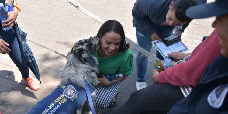 Propone Andrea Villanueva la Creación del Centro Animal Forense