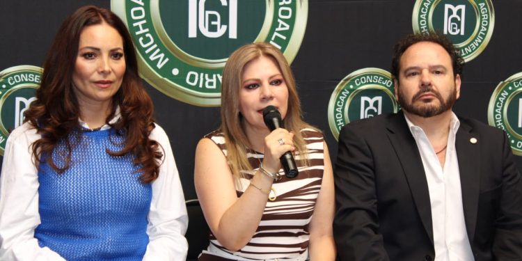 Anuncia SEFECO Cam Fest RD 202