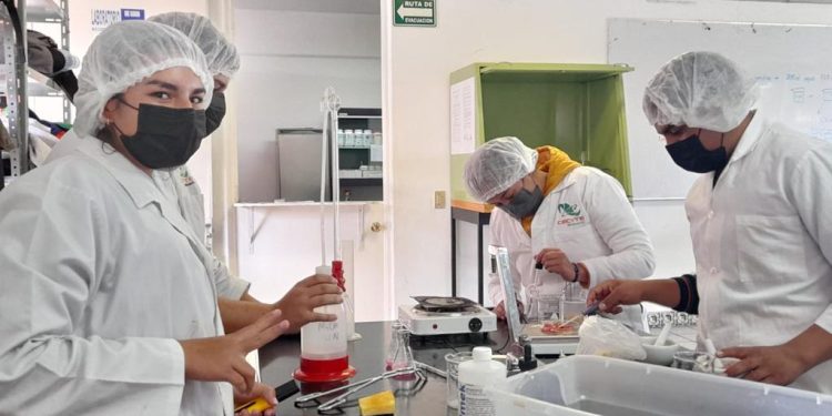 Michoacán ofrece más de 20 carreras técnicas que interesan a empresas globales