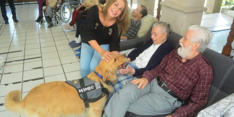 Más de 200 mil adultos mayores viven con pobreza. Diputada Luz María García