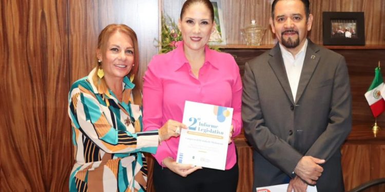 Bienestar familiar, nuestra principal encomienda: Dip. Luz García