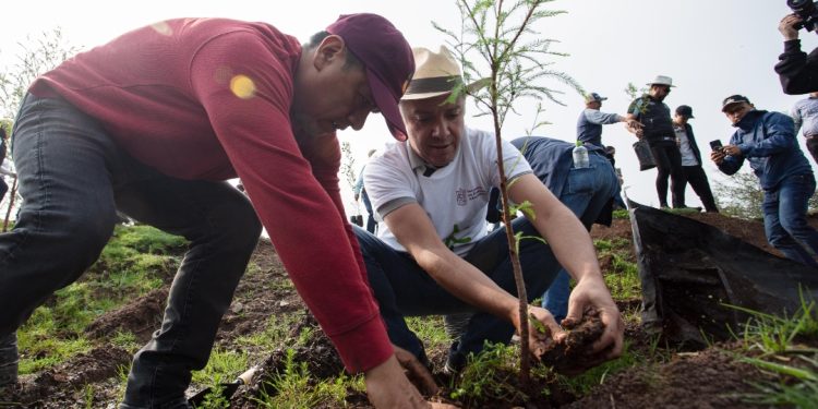 Reconstrucción de Michoacán incluye el entorno natural: Luis Navarro