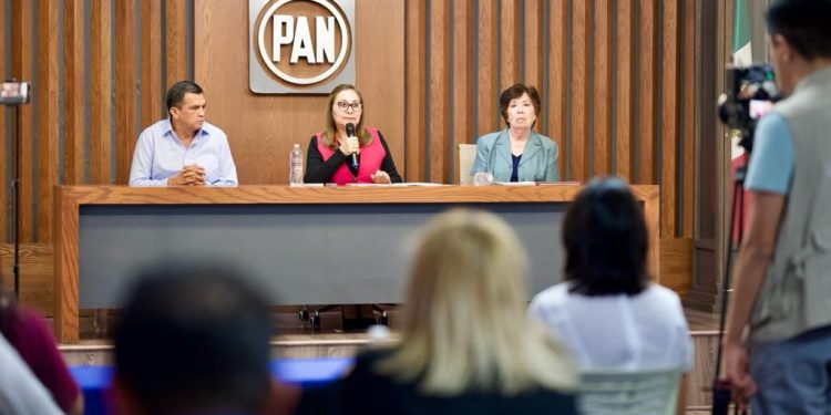 PAN Michoacán designa a Irene Villaseñor como Secretaria de Acción en Plenitud