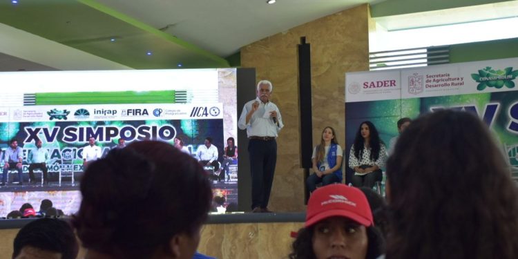 Trabaja Michoacán para fortalecer la producción del limón mexicano