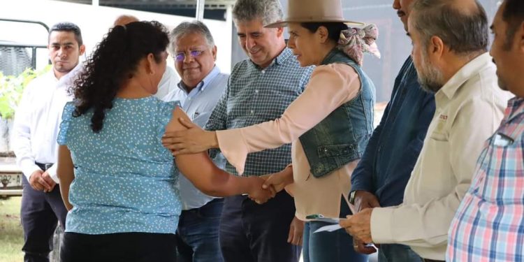 Sader impulsa producción de cacao en Nuevo Urecho