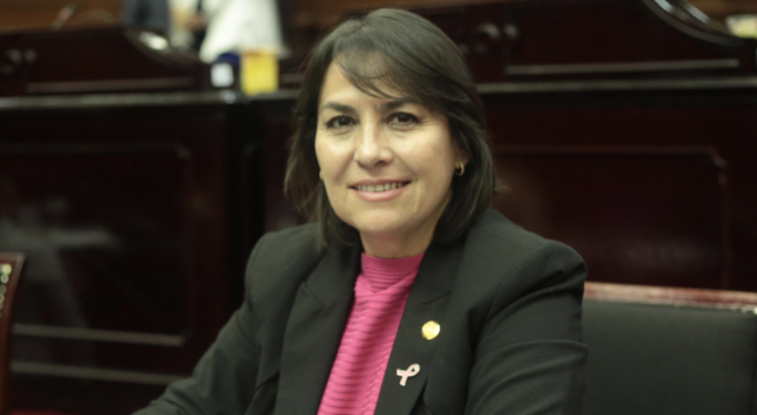 Mi compromiso, acompañar leyes que protejan la integridad y garanticen la justicia en Michoacán: Dip. Lariza Pérez