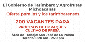Abre Buen Gobierno de Tarímbaro 200 vacantes para procesos de empaque en Agrofrutas.