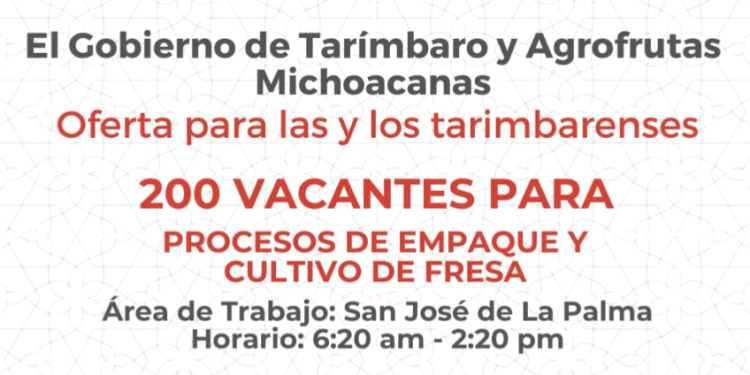 Abre Buen Gobierno de Tarímbaro 200 vacantes para procesos de empaque en Agrofrutas.