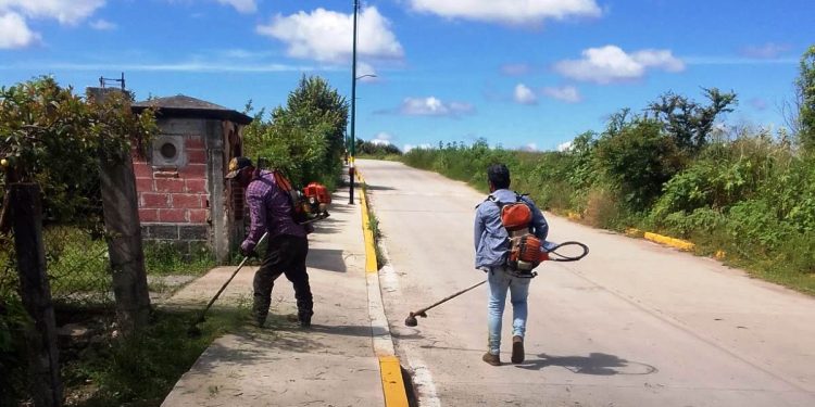 Priorizan mejoramiento de servicios y limpieza en áreas públicas en el municipio de Juárez