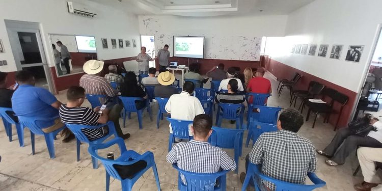 Participa Sader en talleres para mejorar suelos en el cultivo del limón