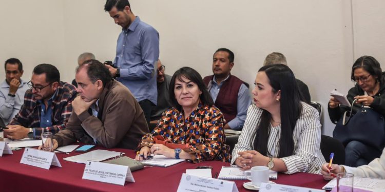 Diputados del PAN iremos por presupuestos justos y razonables para órganos desconcentrados: Lariza Pérez