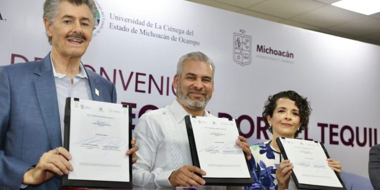 En 2027 será obligatoria la certificación para cultivo de agave para tequila