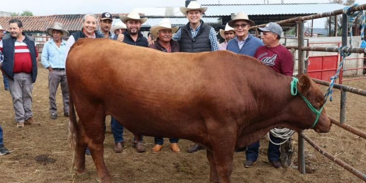 Alfonso Martínez impulsa la producción ganadera de la zona rural de Morelia