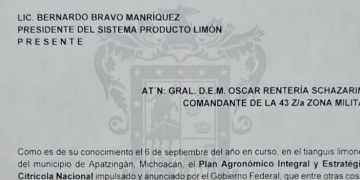 En noviembre y diciembre, corte de limón lunes, miércoles y viernes en Michoacán: Gobierno federal