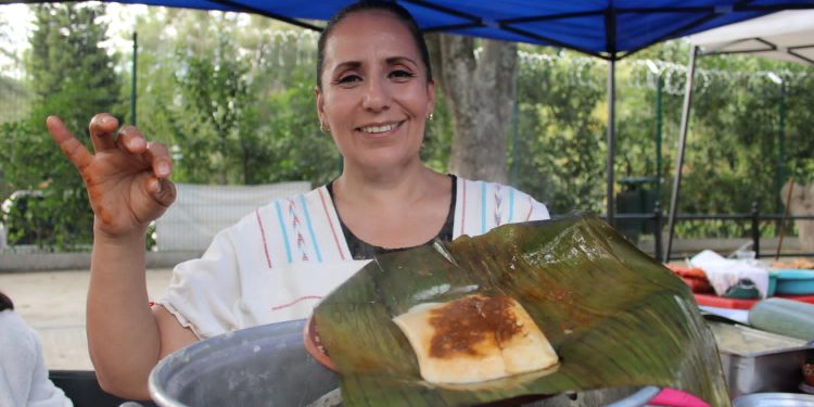 Este fin de semana invita SEFECO al 2º Festival Familiar