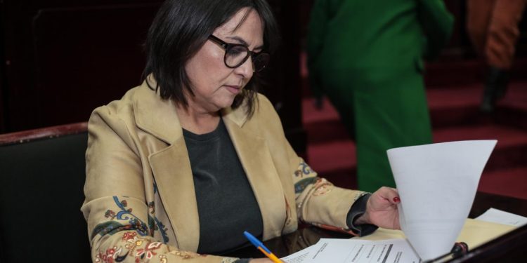 Michoacán, nuestra prioridad en aprobación de presupuesto para 2024: Dip. Lariza Pérez