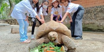 Diciembre mágico con descuentos y promociones en el ZooMorelia