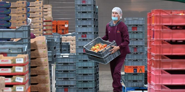 Michoacán sumó más de 13 mil empleos formales con acreditación laboral