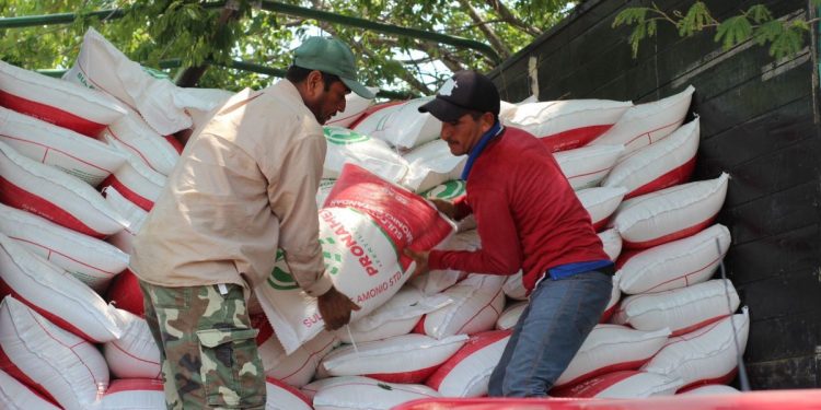 Estos son los requisitos para que pequeños productores reciban fertilizante gratuito