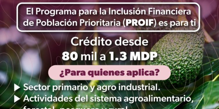 Créditos para proyectos productivos agrícolas hasta por 1.2 mdp con Sí Financia