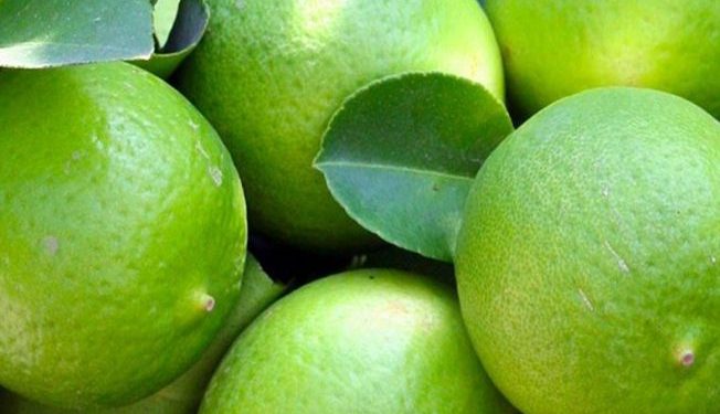 Conoce los requisitos para el certificado de origen y movilización del limón