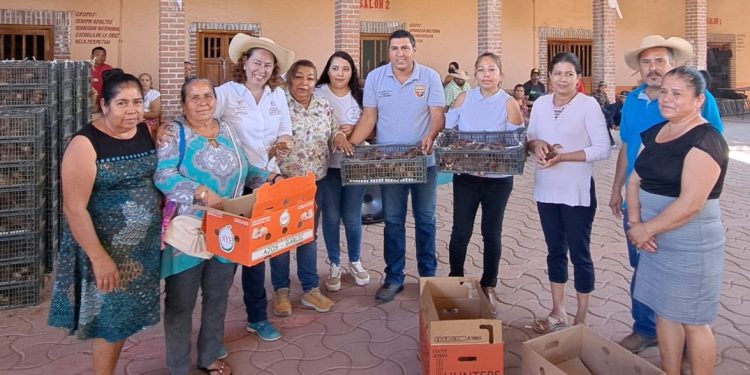 Beneficiadas más de 10 mil familias con alimentos para autoconsumo: Sader