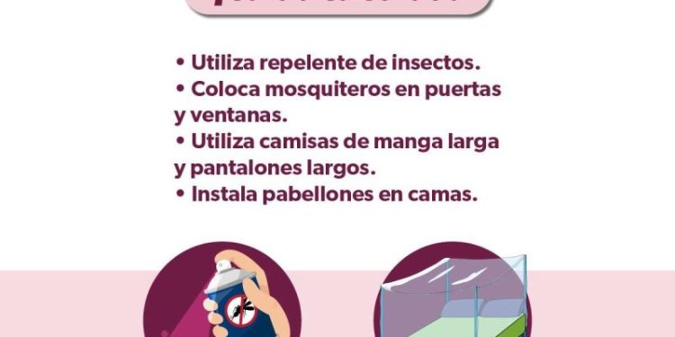 Cómo evitar la reproducción del mosquito transmisor del dengue