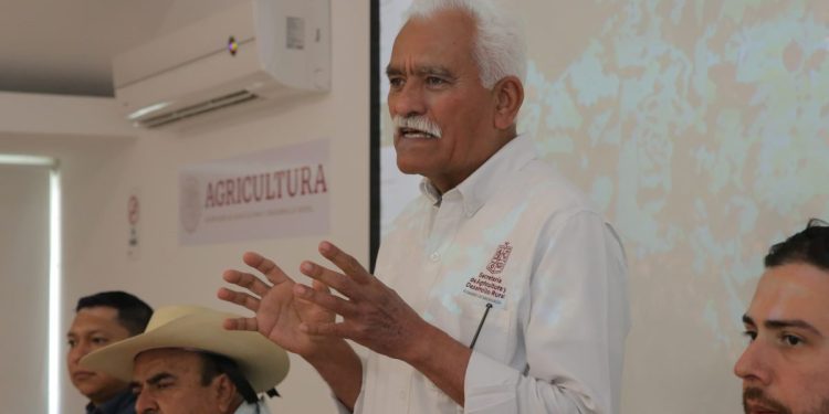 Reconocen a Michoacán por su impulso al sector citrícola