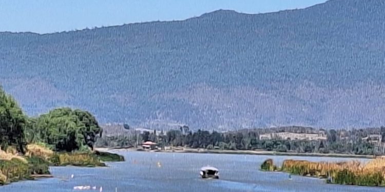 Falso que se haya interrumpido servicio de lanchas en lago de Pátzcuaro: CEAC