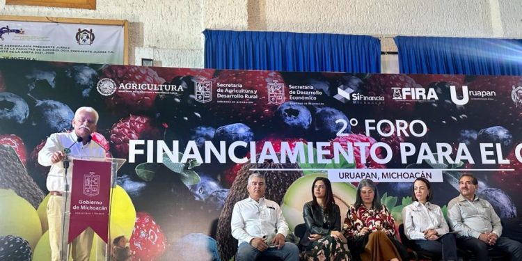 Seguro catastrófico cubrirá este año 38 mil hectáreas de cultivos agrícolas: Sader