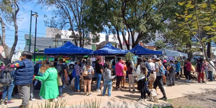 Morelia, primera ciudad de México con registro y acta de nacimiento de animales