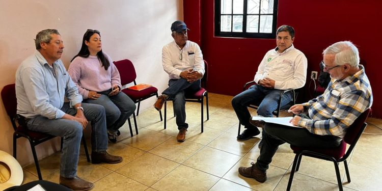 Queso Cotija, en proceso para la denominación de origen: Sader