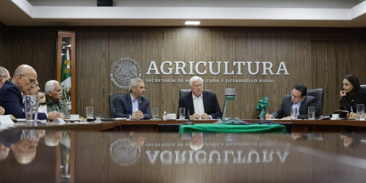 Bedolla y Sader trazan ruta para la certificación y regulación ambiental del aguacate