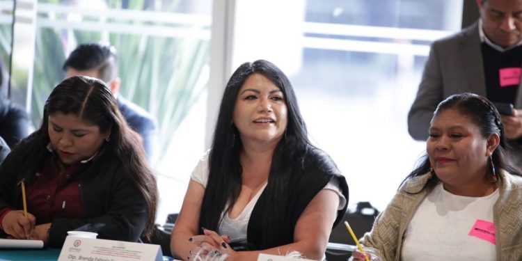 Justicia para los pueblos originarios en Michoacán; Brenda Fraga